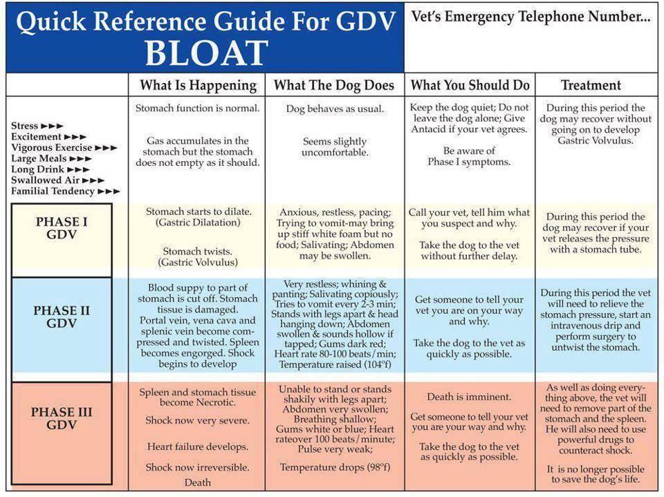 Great Dane Eating Chart